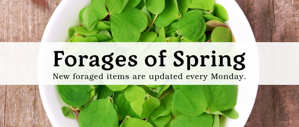 Forages of Spring