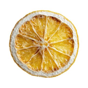 dehydrated lemon slices
