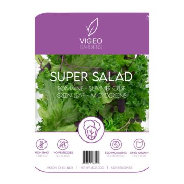 SUPER SALAD