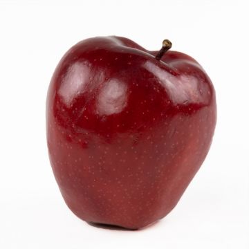 Red Delicious Apples WXF