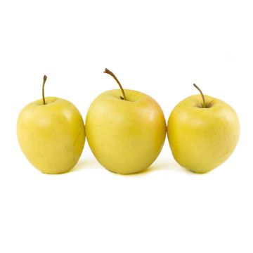 Three Golden Delicious Apples