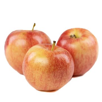 Three Gala Apples