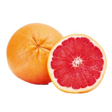 Sliced Grapefruit