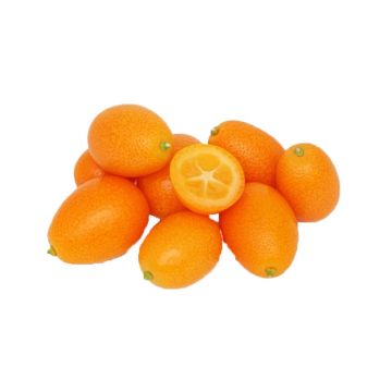 Kumquat