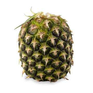 Crownless Pineapples