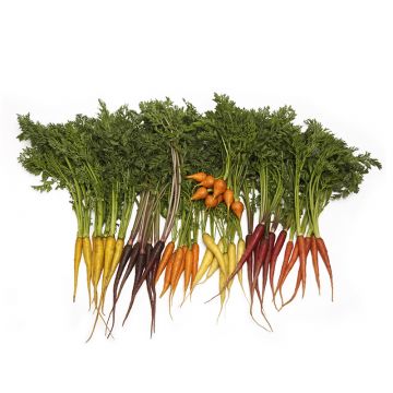 Fancy Root Vegetable Mix