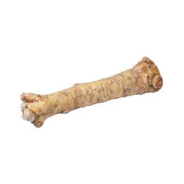 Horseradish Root