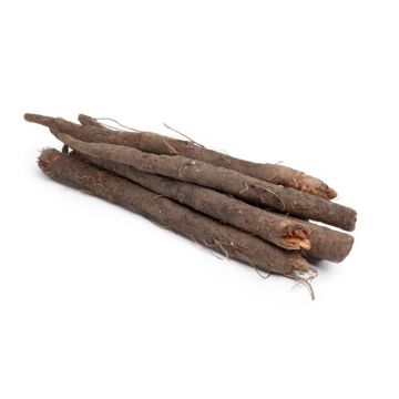 Salsify Root