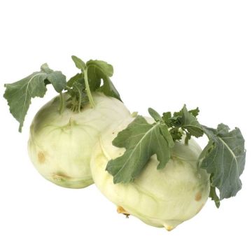 Green Bunched Kohlrabi