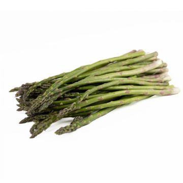 Standard Asparagus 
