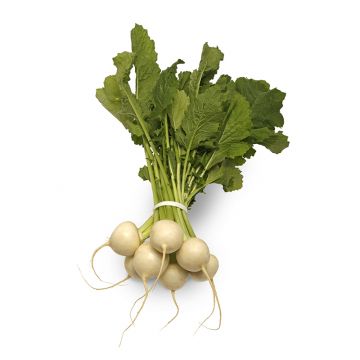 Tokyo Turnips