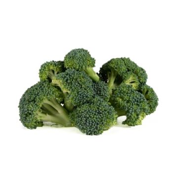 Broccoli Floret
