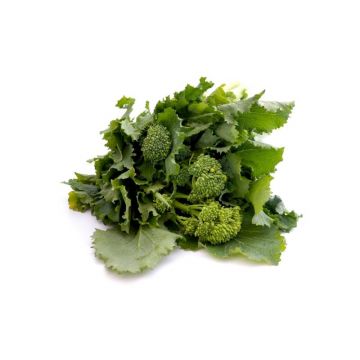 Broccoli Rabe (Rapini)