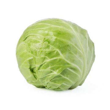 Medium Green Cabbage