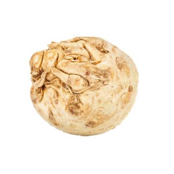 Celery Root