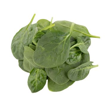 Cello Spinach