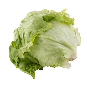 Iceburg Lettuce