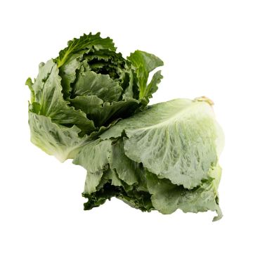 Artisan Romaine Lettuce