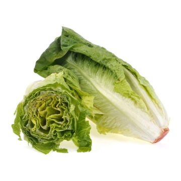 romaine hearts