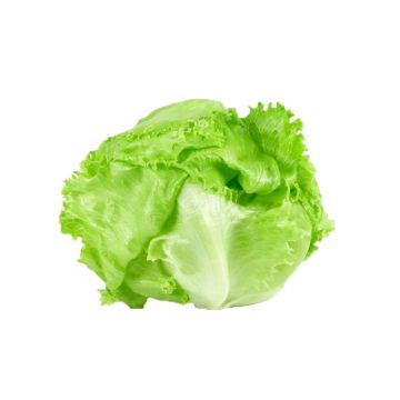 Baby Iceberg Lettuce