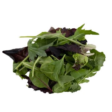 Organic Mesclun