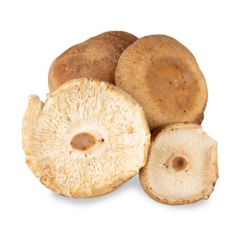 Shiitake Mushroom Caps