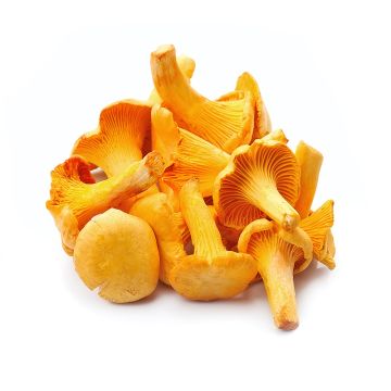 Pile of Chanterelle Mushrooms