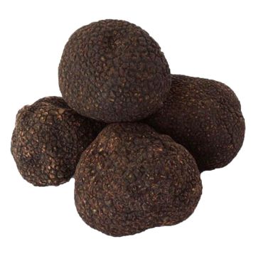 Black Winter Truffles