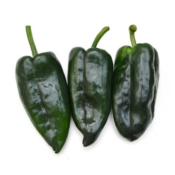 Poblano Peppers - Local