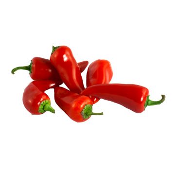 Red Fresno Peppers