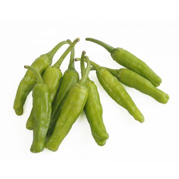 Shishito Peppers