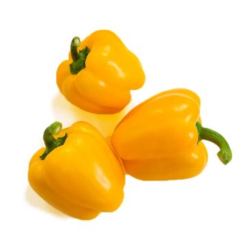 Three Gourmet Yellow Peppers