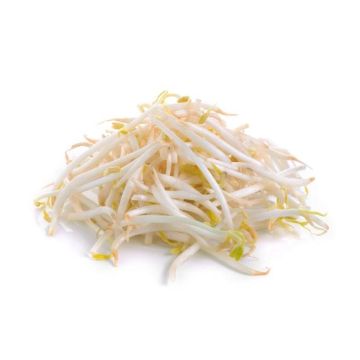 Bean Sprouts