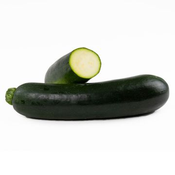 Organic Zucchini