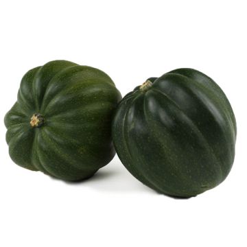 Acorn Squash