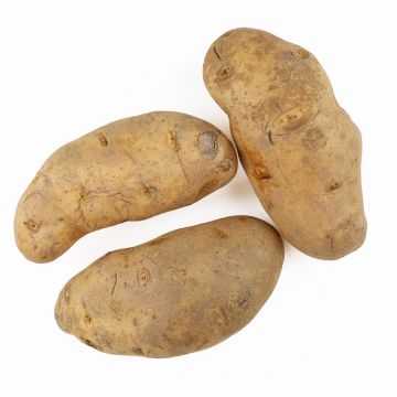 10 oz 2 LB Potatoes