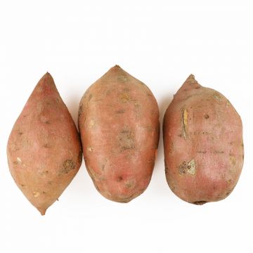 8-12 oz Sweet Potatoes 