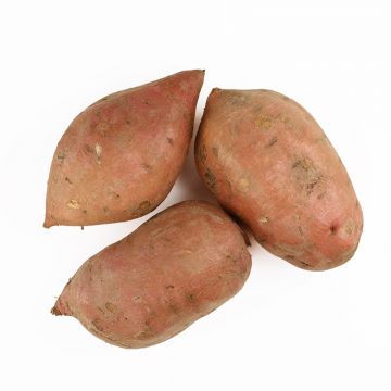 20-32 oz Sweet Potatoes