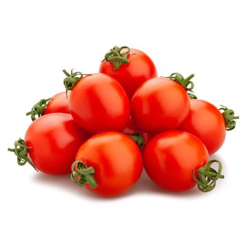Pile of Cocktail Tomatoes