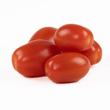 Organic Grape Tomatoes