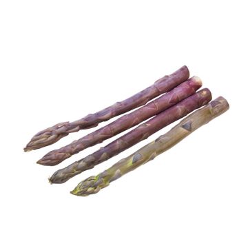 Portioned Purple Asparagus