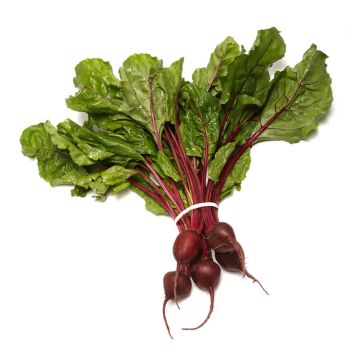 Baby Red Beets with Tops
