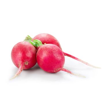 Cello Radish
