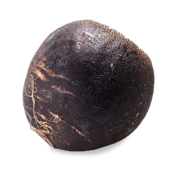 Black Radish