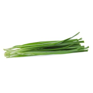 Chives