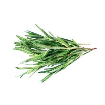 Organic Rosemary