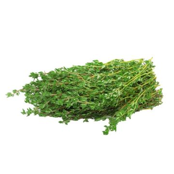 Thyme