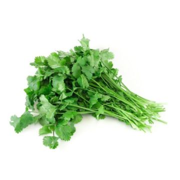 Bunch of Cilantro