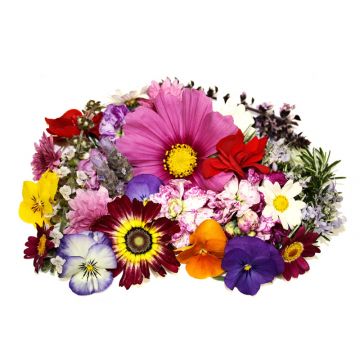 Edible Flower Assortment