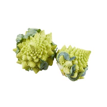 ROMANESCO FLORETS